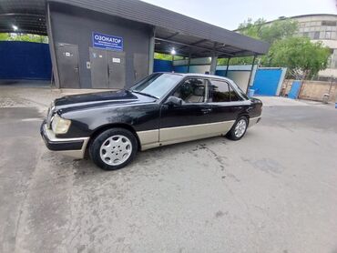Mercedes-Benz W124: 1995 г., 2.9 л, Механика, Дизель, Седан