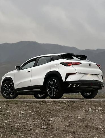 Changan: Changan Uni-T: 2025 г. — 9