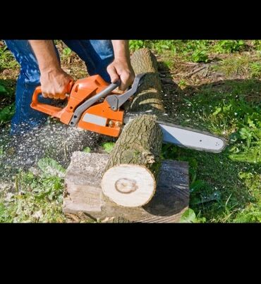 услуги по вырубке деревьев: Пилю дрова бензопилой,одна заправка с, пишите отправляйте фото на