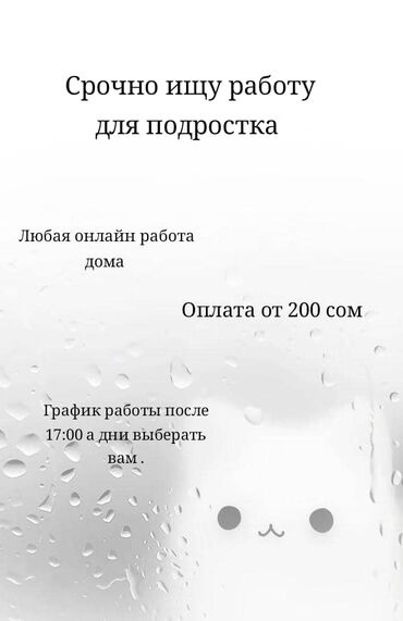 Другие специальности: Ищу работу онлайн дома ‼️