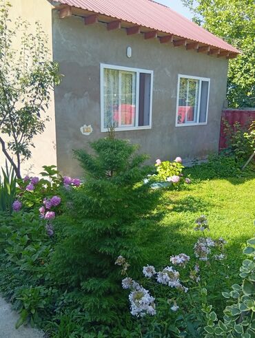 Günlük kirayə evlər: 40 kv. m, 2 otaqlı, Kombi, İnternet, Telefon -da lalafo.az — 14 Günlük kirayə evlər: 40 kv. m, 2 otaqlı, Kombi, İnternet, Telefon — 14