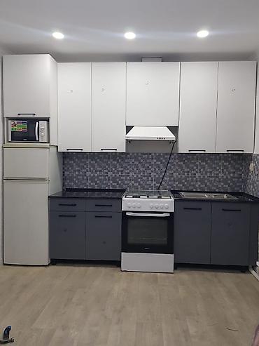 Кухонные гарнитуры: Кухонный гарнитур — 35