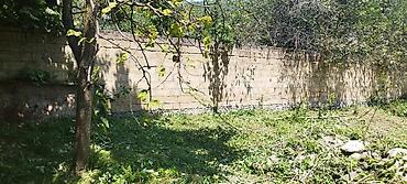 ismayıllıda satılan torpaq: Tikinti, Mülkiyyətçi, Kupça (Çıxarış) — 7