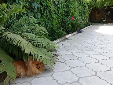 Продажа домов: Дом, 100 м², 4 комнаты, Собственник, Евроремонт — 13