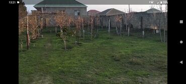 Torpaq sahələrinin satışı: 3 sot, Tikinti, Kupça (Çıxarış) — 6