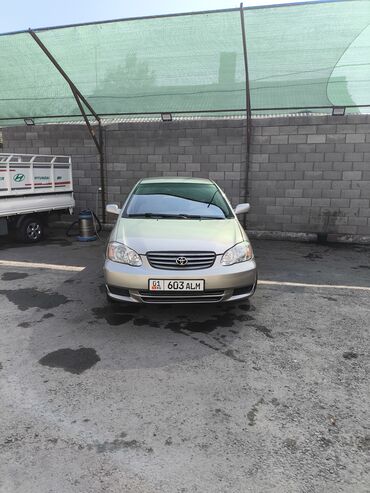 corolla runx: Toyota Corolla: 2002 г., Седан