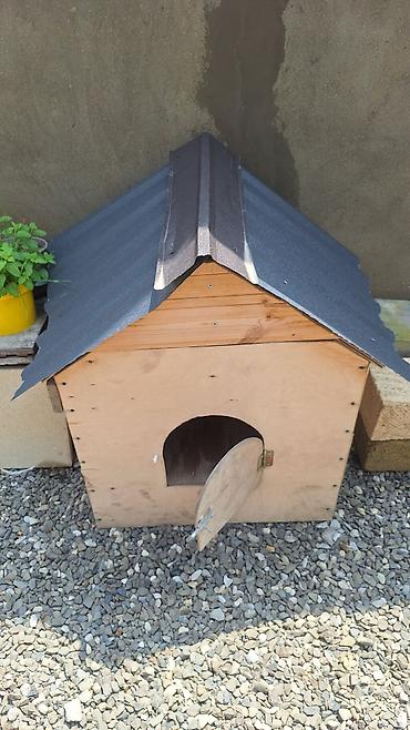 it yuvasi satilir: Taxta it evi / heyvan üçün açıq hava evi - Material: qalın faner və — 1