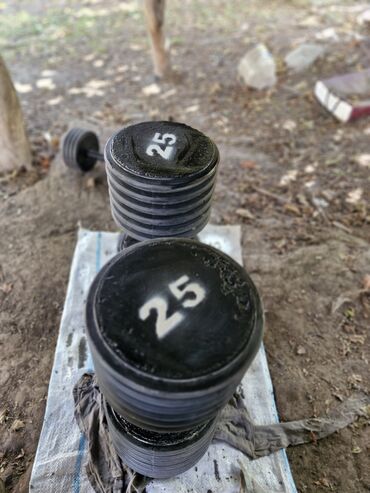 Giryalar: Girya, Yeni — 8