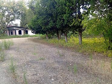 lerikdə ev: 67 sot, Tikinti, Mülkiyyətçi, Kupça (Çıxarış) — 1