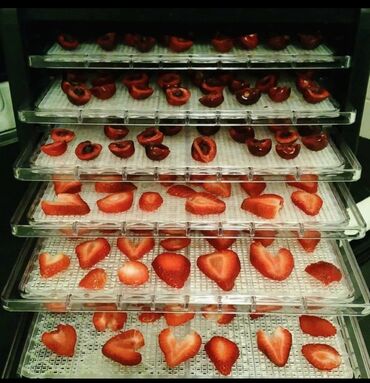 Meyvə qurudan aparatlar: Nağd ödəniş, Yeni — 12