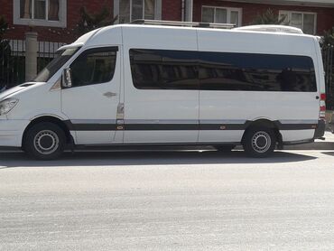sifariş avtobus v Azərbaycan | Sərnişin daşımaları: | Beynəlxalq daşımaları, Regional daşımaları Mikroavtobus | 19 oturacaq