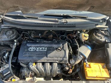 Toyota: Toyota Allex: 2004 г., 1.6 л, Автомат, Бензин — 8