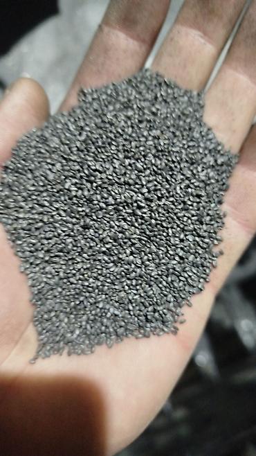 Кормовые растения: Семена кормовых растений: Люцерна — 5