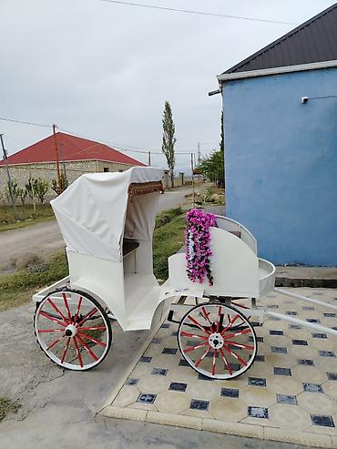 isləmis kombi: Klassik at arabası – dekorativ və gəzinti üçün - Rəng: ağ gövdə — 1