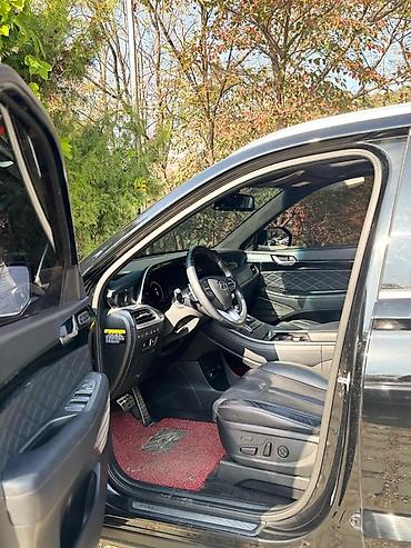 Hyundai: Hyundai Palisade: 2020 г., 2.2 л, Дизель, Кроссовер — 20