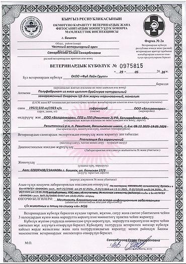 курица куплю: Замороженная курица и полуфабрикаты (HALAL) Окорочка 10 кг по 230 сом — 7