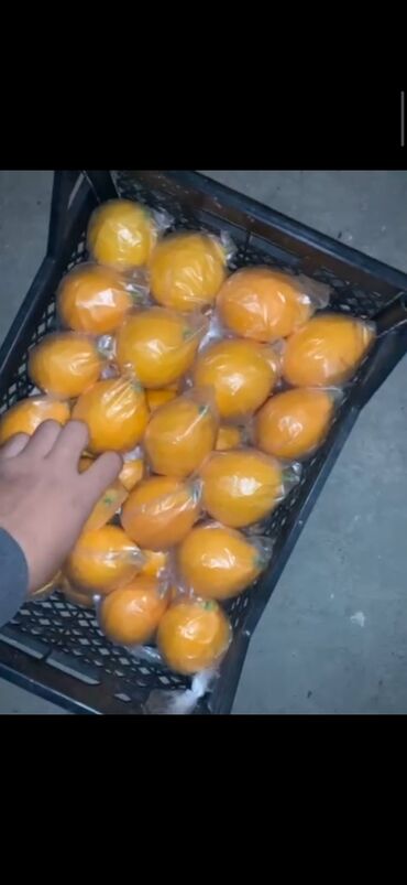 Фрукты: Продаётся плоды лимоны местные Баткенская обл гКызыл-Кыя 90км от Оша