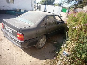Opel: Opel Vectra: 1994 г., 1.6 л, Кол менен иштөөчү, Бензин, Седан — 1