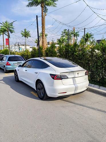 tesla p40: Tesla Model 3: 2020 г., 6.3 л, Автомат, Электромобиль, Седан — 3