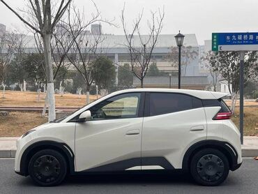 BYD: BYD Seagull: 2023 г., Электромобиль, Хэтчбэк — 6