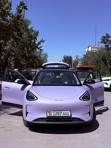 Geely: Geely Geome Xingyuan: 2026 г., Автомат, Электромобиль, Хэтчбэк — 3