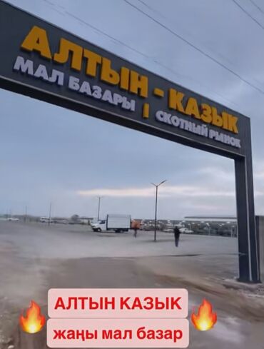 требуется в столовую: Требуется Официант Без опыта, Оплата Ежедневно
