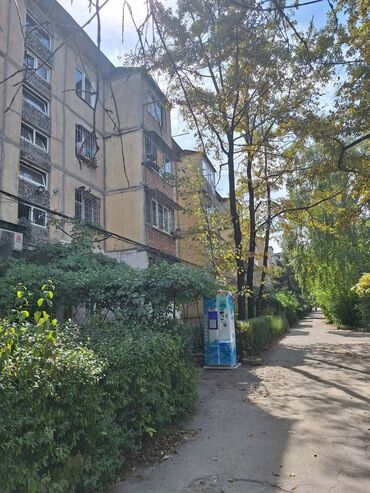 однокомнатная квартира восток 5: 1 комната, 36 м², 104 серия, 2 этаж, Косметический ремонт