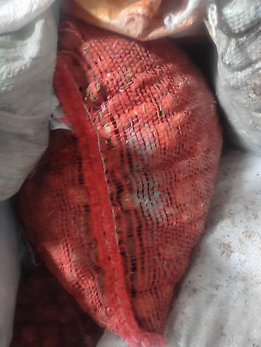 Сухофрукты, орехи, снеки: Сушёный абрикос (урюк/кайса без сиропа) - Натуральная сушка на — 9