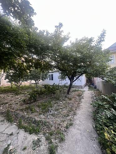 үй жер: Срочно Арча Бешик тен 6 соток уй сатылат Мал кармаганга ынгайлуу — 8