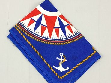 Home & Garden: PL - Towel 46 x 31, color - Blue, condition - Very good