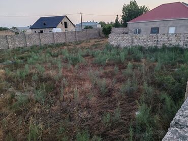xezer rayonu qala qesebesi kiraye evler: Tikinti, Mülkiyyətçi, Bələdiyyə