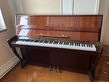 ronisch piano: Şverik sxemli vertikal piano – “СЮЙТА” (Suite) modeli - Korpus — 5