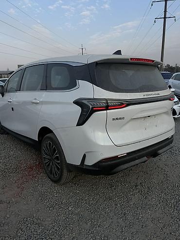dodge caravan: Dongfeng : 2026 г., 0.1 л, Автомат, Электромобиль, Минивэн — 4