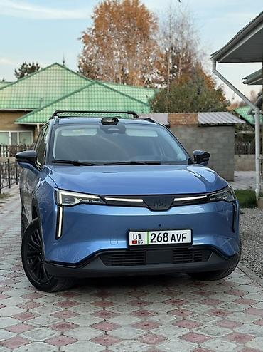 Weltmeister: Weltmeister W6, 2022 г., 54000 км — 7