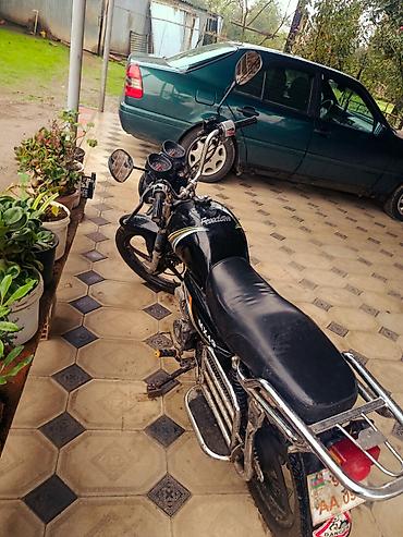 turbo.az qazel 33021: - 49, 50 sm3, 2024 il, 10000 km — 6