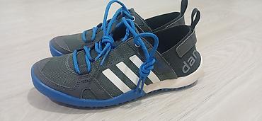 terrex: Мужские кроссовки, 41, Adidas Originals, Новый, цвет - Синий, Самовывоз — 1