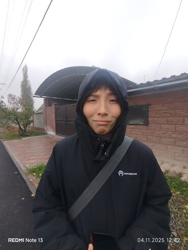 отдам котенка в добрые руки: Собака даром: Чихуахуа, 3 года, Самец, С родословной, С прививкой