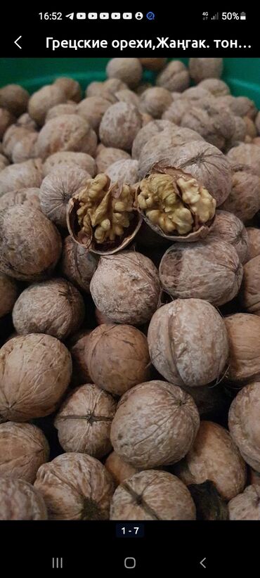орехи саженцы: Продаю срочно грецкие орехи 100 кг цена 145 с срочно продам прям