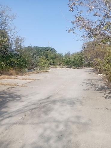 Коммерческая недвижимость: Icarəyə verilir:Baki Səlyan şosesi 8 km, Anbar, Avtoserviz ankarlıq — 5