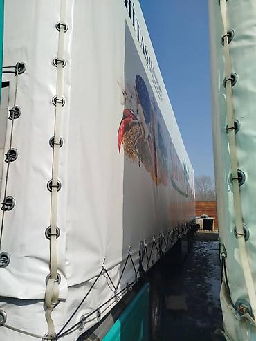 Тягачи: Тягач, Volvo, 2012 г., Тентованный — 6