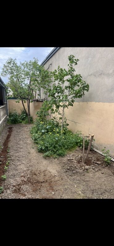 Köhnə tikili: Xırdalan, 4 otaqlı, Köhnə tikili, 146 kv. m — 10