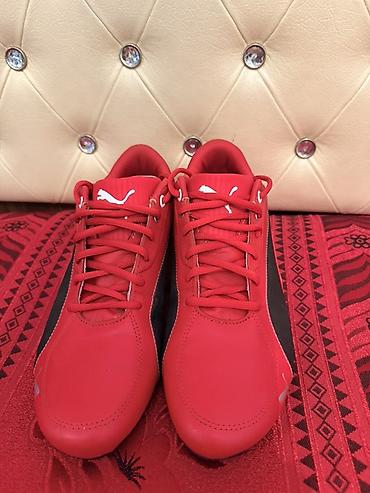 qırmızı vinston: Orijinal Puma Ferrari SportLifestyle Ölçü: EU 41 Vəziyyəti çox — 5