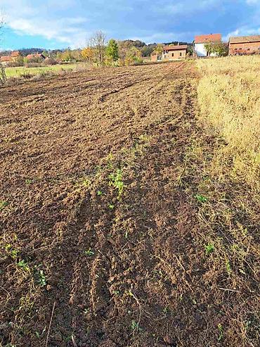 Usluge u domaćinstvu: Usluzno freziranje i uredjenje dvorista. Pretvorite zaraslo dvorište — 6