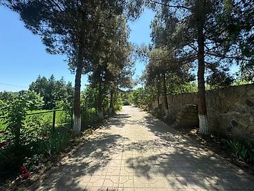 Bağ evlərinin kirayəsi: Qiymət Günü 400 Azn Quba Qəçreş Yolunda Villa bağ evi İcarəyə verilir — 24