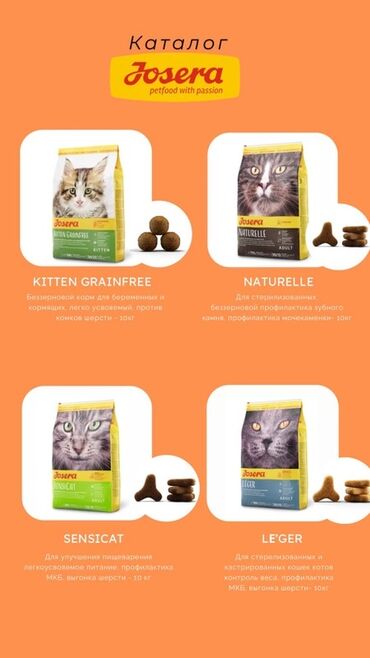 кошачья мята: Каталог кормов для кошек Josera (petfood with passion), фасовка 10 кг