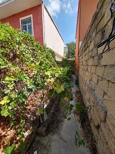 Torpaq: 2 sot, Tikinti, Mülkiyyətçi, Kupça (Çıxarış) — 3