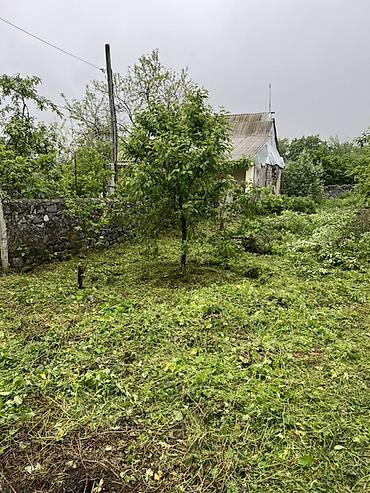 torpaq bakıda: 5 sot, Tikinti, Mülkiyyətçi, Kupça (Çıxarış) — 8