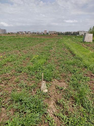 Куплю земельный участок: 10 соток — 8