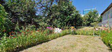 Torpaq sahələrinin satışı: 12 sot, Tikinti, Makler, Kupça (Çıxarış) — 23