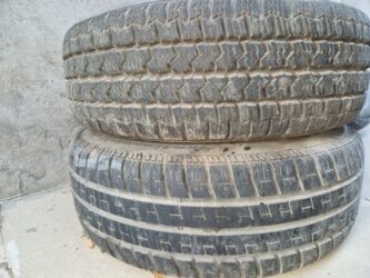 bmw 1 серия 135i dkg: Başlıq: Vito zapaskasında gəlib. Continental təkərdi hər ikisi at lalafo.az bmw 1 серия 135i dkg: Başlıq: Vito zapaskasında gəlib. Continental təkərdi hər ikisi